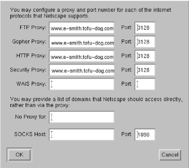 Netscape Preferences - proxy server