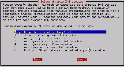 Selecting dynamic DNS