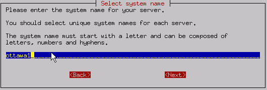 Selecting the system name
