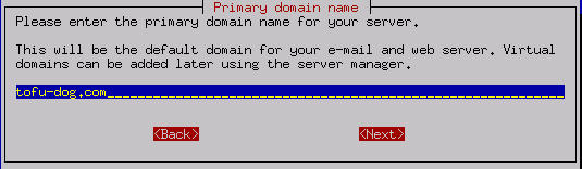 Setting the primary domain name